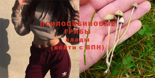 соль ск Краснослободск