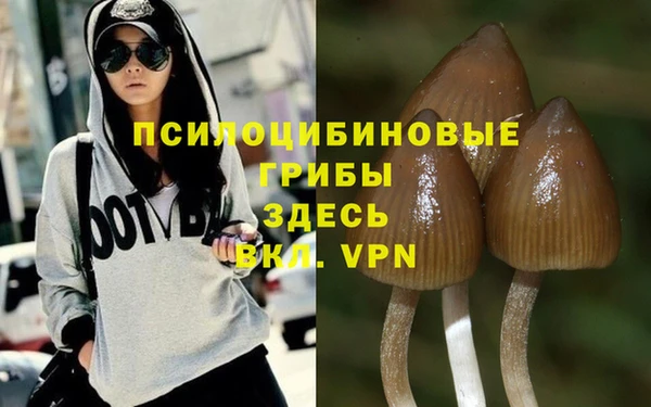 альфа пвп Краснотурьинск
