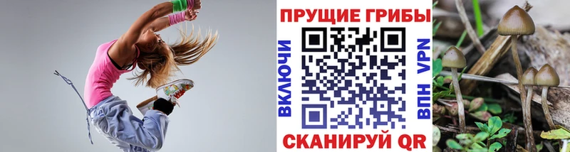 Псилоцибиновые грибы Psilocybine cubensis  Томмот 